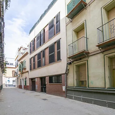 Alohamundi San Julian Sewilla